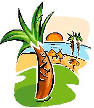 Palm Tree